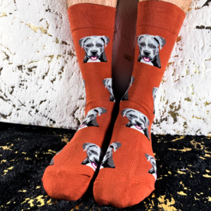 Calcetines Pit Bull Fondo Café