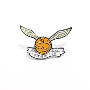 Pin Quidditch