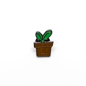 Pin Semilla | Brote en maceta