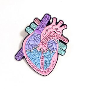Pin Partes del corazón