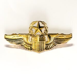 Pin Insignia Fuerza Aérea USA Máster