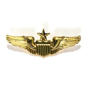 Pin Insignia Fuerza Aérea USA Senior